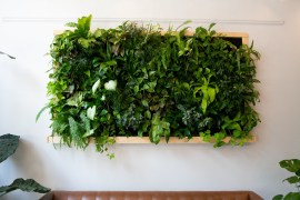 Maximizing Your Garden Space: Creative Vertical Gardening Ideas