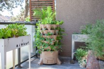 How to Maximize Greenery in a Small Patio Garden Design