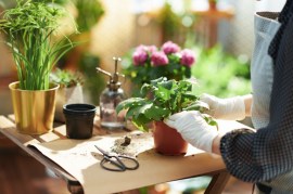 Indoor Gardening Made Easy: Top Tips for Successful Seed Starting