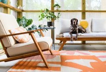 Finding the Perfect Rental Home for You and Your Furry Friend: What to Look for